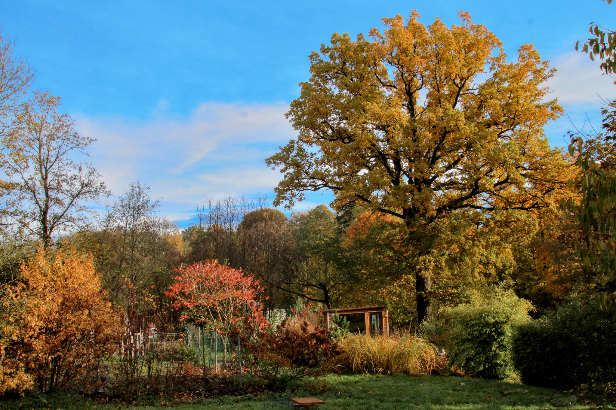 Autumn garden TMA SEMILY