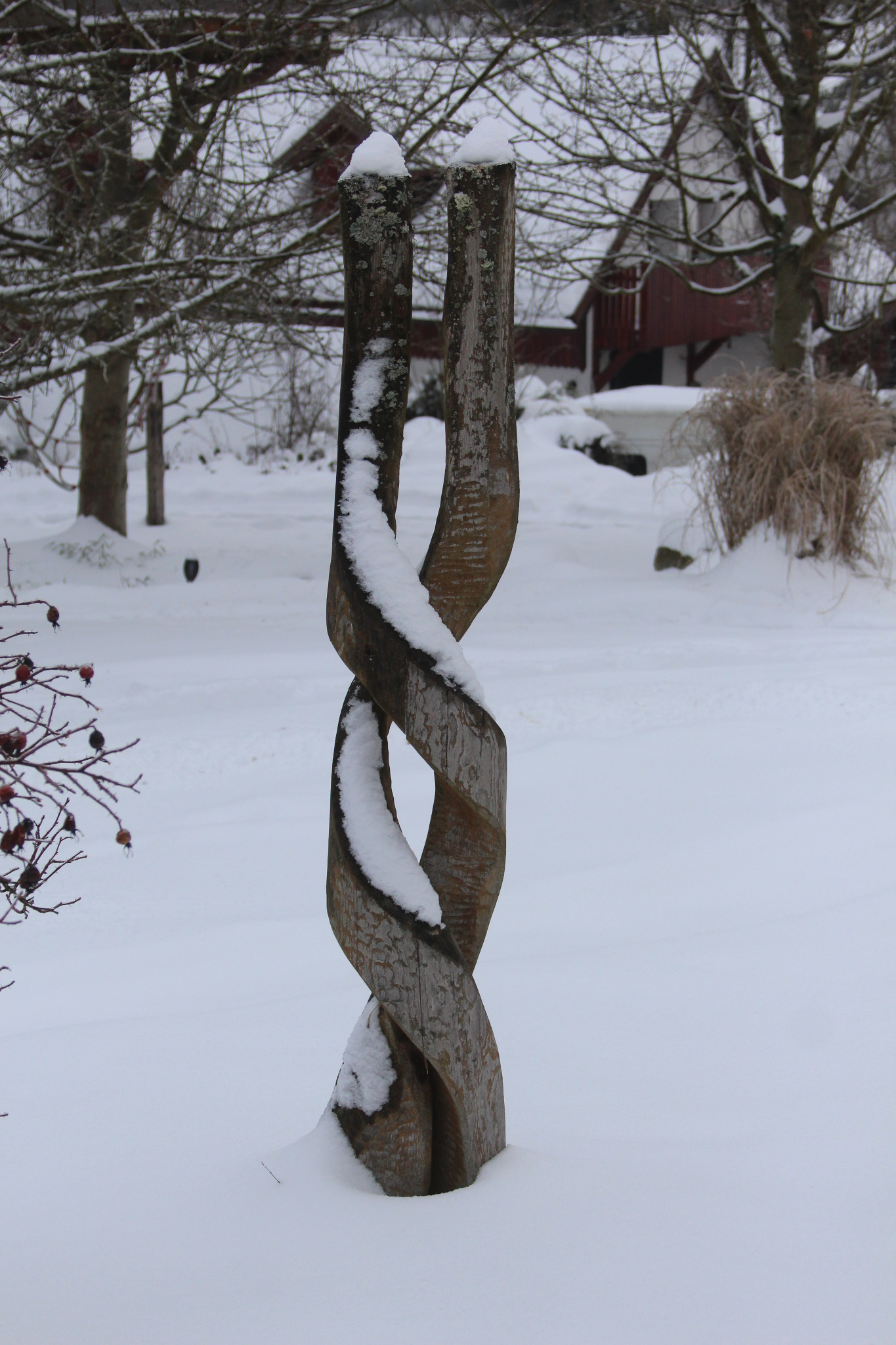 Garden TMA SEMILY in winter